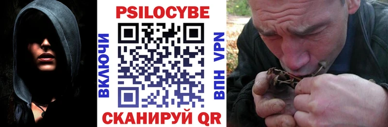 Псилоцибиновые грибы ЛСД  Купить  Суздаль 
